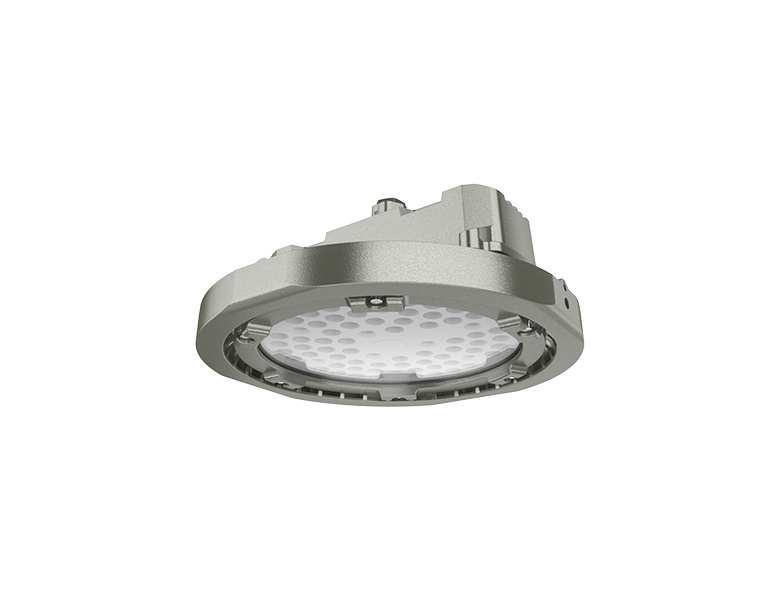 Explosion proof Suspended Ceiling Light