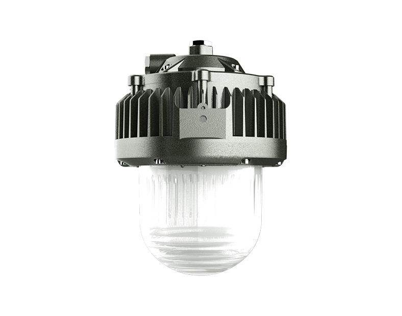 Explosion proof hanging lamp